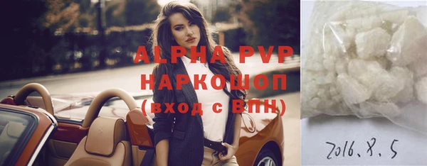 винт Абаза