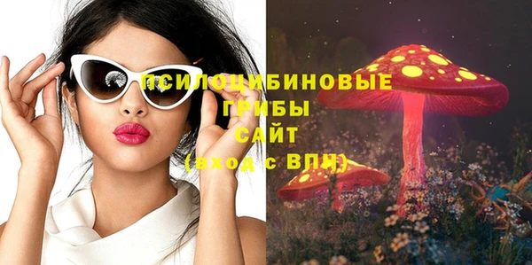 винт Абаза