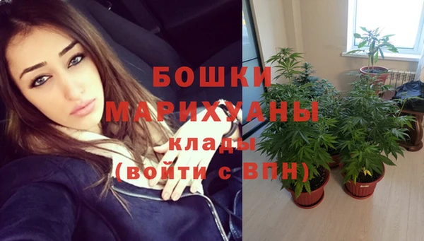 винт Абаза