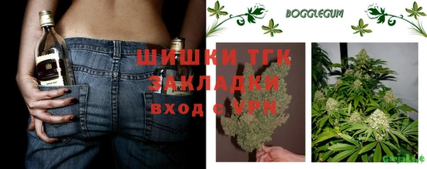 винт Абаза