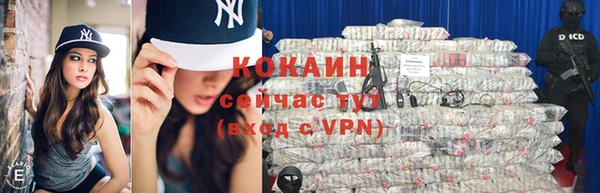 винт Абаза
